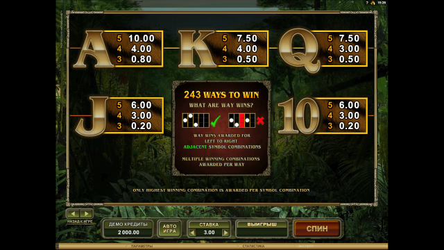 Untamed Bengal Tiger 4